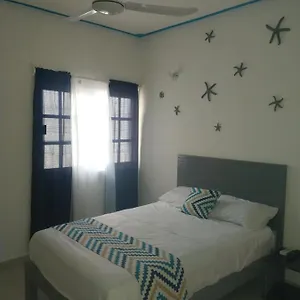Mi Cozumel